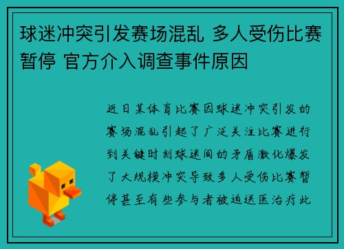 球迷冲突引发赛场混乱 多人受伤比赛暂停 官方介入调查事件原因 球迷冲突引发赛场混乱 多人受伤比赛暂停 官方介入调查事件原因